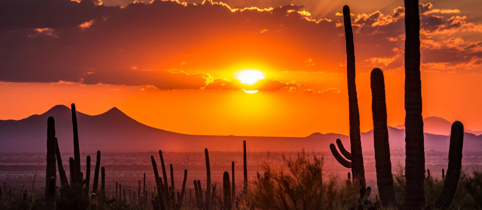 Tucson, Arizona sunset